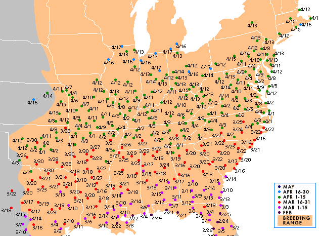 When are hummingbird migration times?