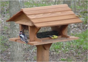 Wild Bird Feeder