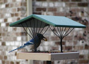 Recycled Fly-Thru Bird Feeder