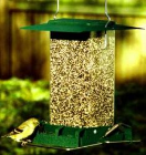 Squirrel Proof Bird Feeder