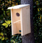 Wood Birdhouse