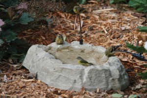 heated bird bath