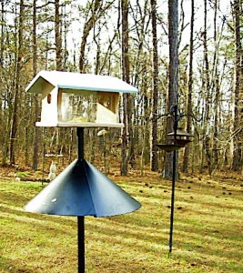 bluebird houses