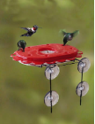 window hummingbird feeder