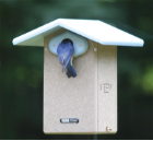 blue bird house