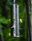 thistle bird feeders