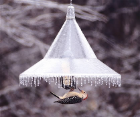 Squirrel Proof Bird Feeders