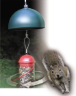 squirrel proof bird feeder 