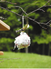 nest material for thistle bird feeders