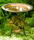 Bird Baths