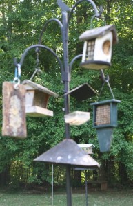 squirrel feeder