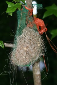 bird nesting materials