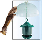 squirrel baffle