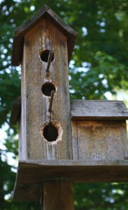 wood birdhouse