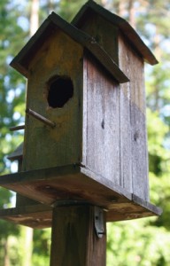 wood birdhouse