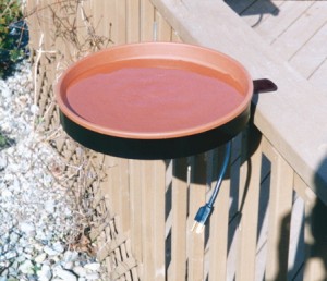 heated bird baths