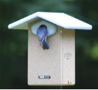 blue bird houses