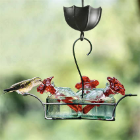 hummingbird feeder