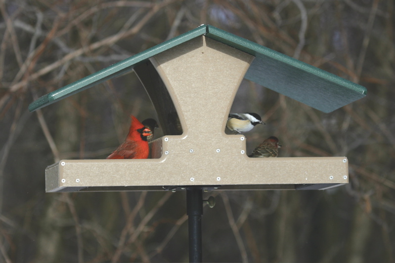 Double Decker Hopper Bird Feeder