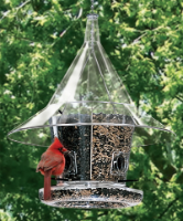 Squirrel Proof Bird Feeder