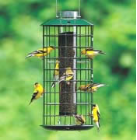 thustle feeder