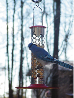 Tube Birdfeeders