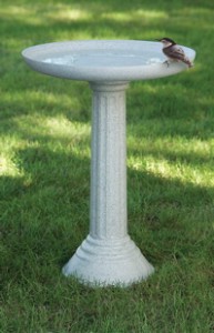 bird baths