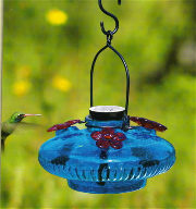 hummingbird feeders