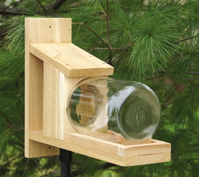 squirrel feeder