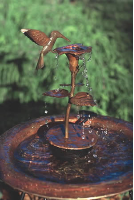 birdbath