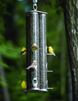 finch feeder