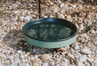 birdbaths