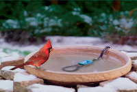 ceramic bird baths