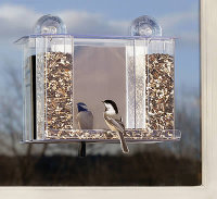 window bird feeders