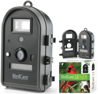 bird cameras