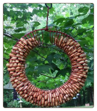 Metal Wreath Whole Peanut Feeder for squirrels and birds
