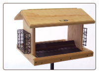 Eleven quart hopper bird feeder