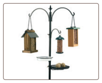 bird feeder pole is a complete feeding station