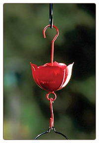 Use an Ant Moat with Your Hummingbird Feeder