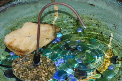 A dripper in our birdbath at home