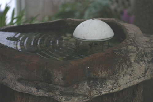 A water wiggler sits in a planter turned birdbath