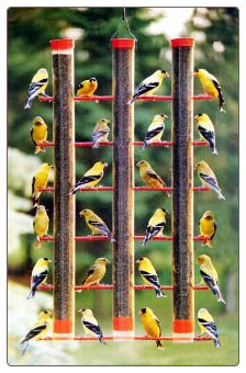 Thistle feeder accommodates 24 birds at once