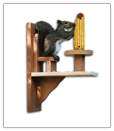 table & chair Squirrel feeder