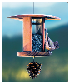 songbird lantern nyjer feeder