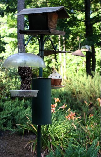 A Baffle makes these squirrel proof bird feeders