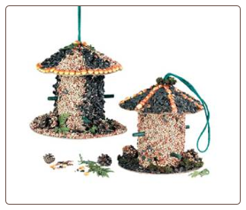 edible bird feeder kit