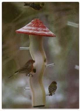 cool ceramic tube bird feeder