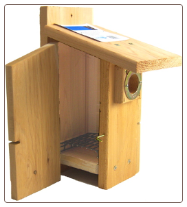 western bluebird house with added features