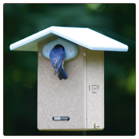 clean bluebird houses for winter roosting