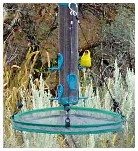 adjustable seed catcher fits any hanging feeder